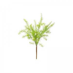 Kapradina z umělých mořských řas